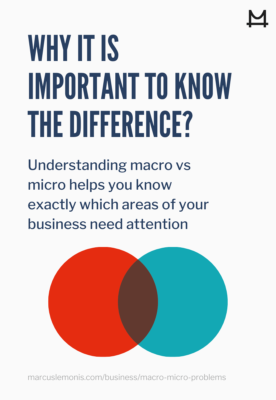 Why it is important to know the difference between micro and macro problems.