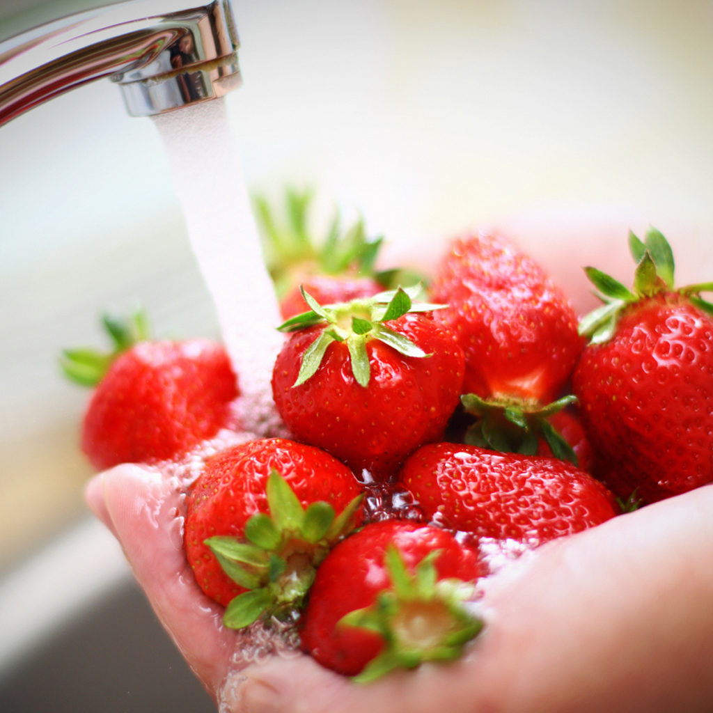 Washing a bunch of strawberries under running water from the sink