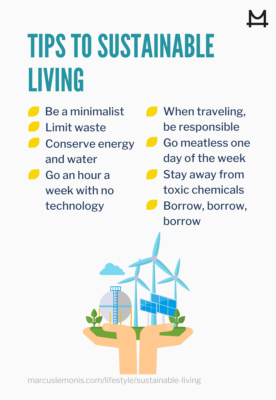 Beginners' Guide to Sustainable Living: 10 Easy Eco-Conscious Tips